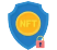 NFT Token Development