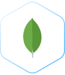 MongoDB