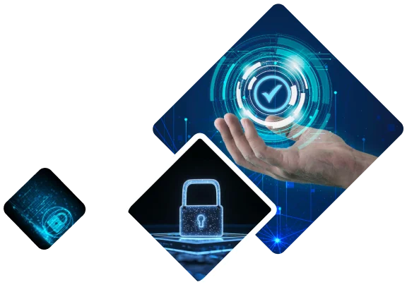 Expertise in how to manage compliance